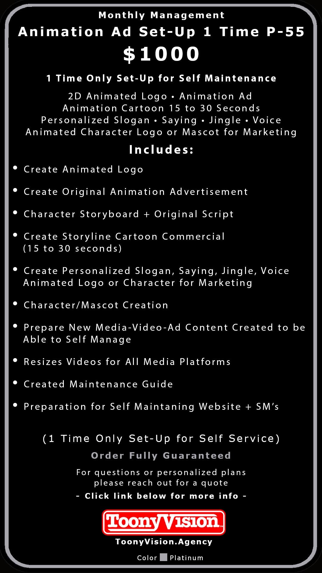 ToonyVision Animation Advertisement Monthly Management Package Plans