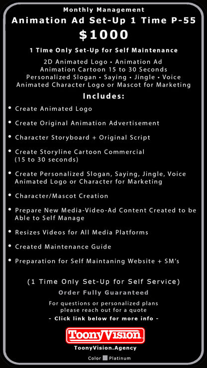 ToonyVision Animation Advertisement Monthly Management Package Plans
