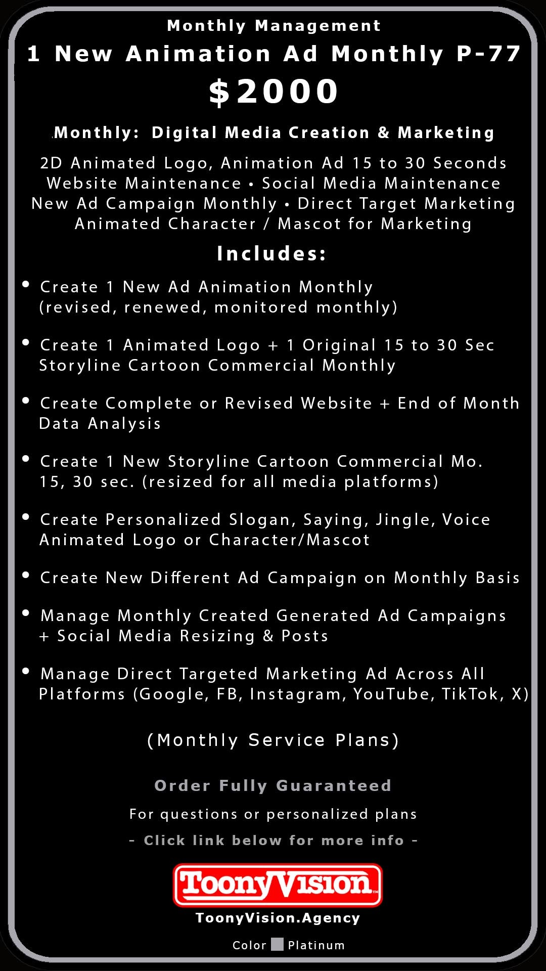 ToonyVision Animation Advertisement Monthly Management Package Plans