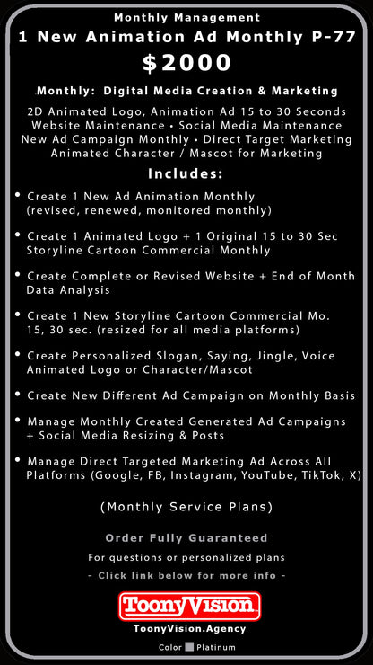 ToonyVision Animation Advertisement Monthly Management Package Plans