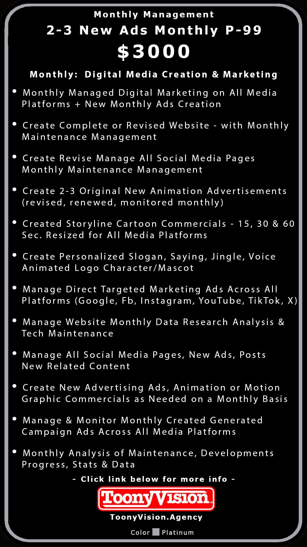 ToonyVision Animation Advertisement Monthly Management Package Plans