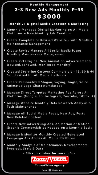 ToonyVision Animation Advertisement Monthly Management Package Plans